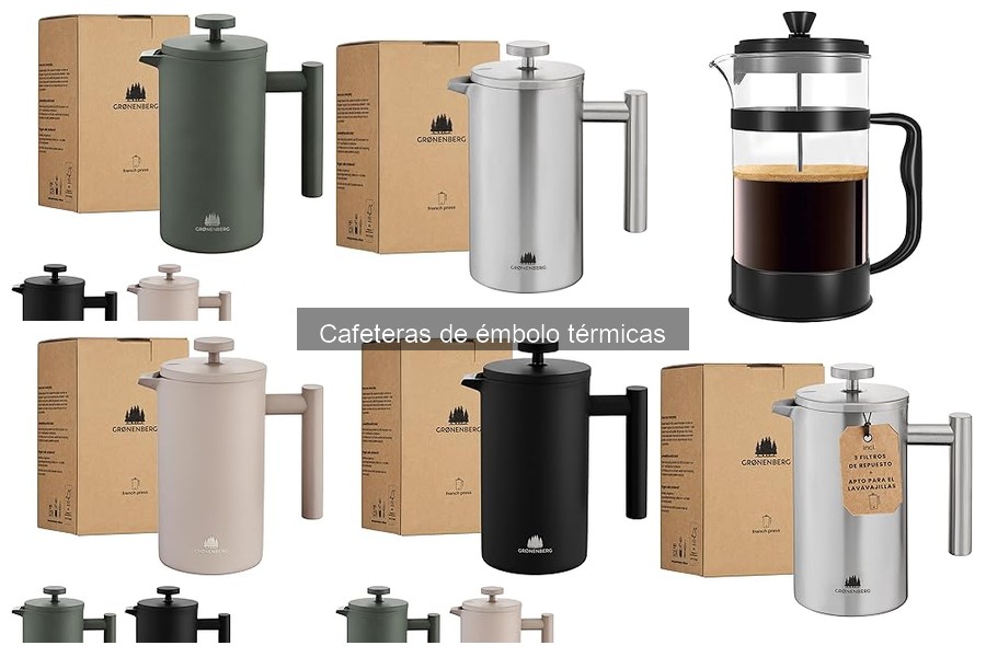 Alternativas a Cafeteras de Émbolo Térmicas para Café