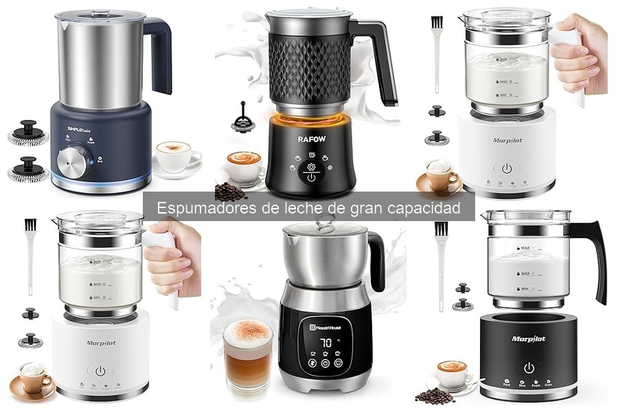 Alternativas a Espumadores de Leche de Gran Capacidad