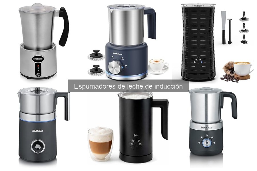 Alternativas a espumadores de leche de inducción