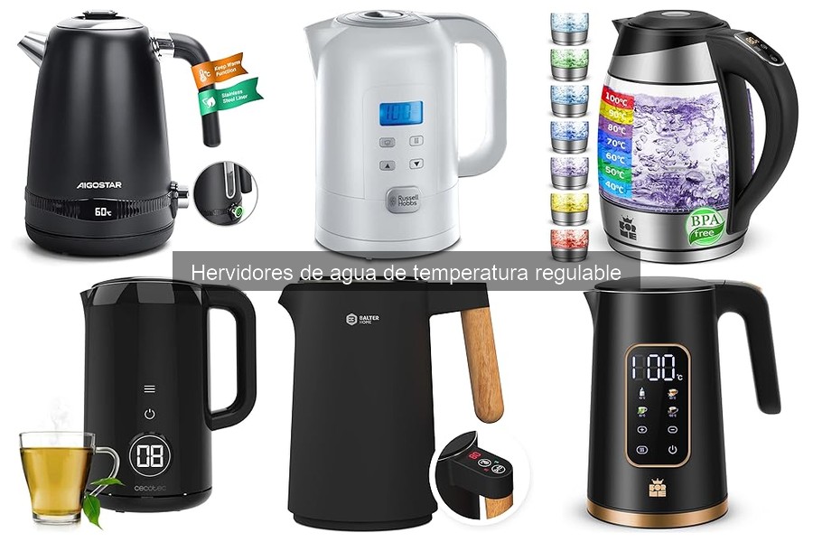 Alternativas a Hervidores de Agua de Temperatura Regulable