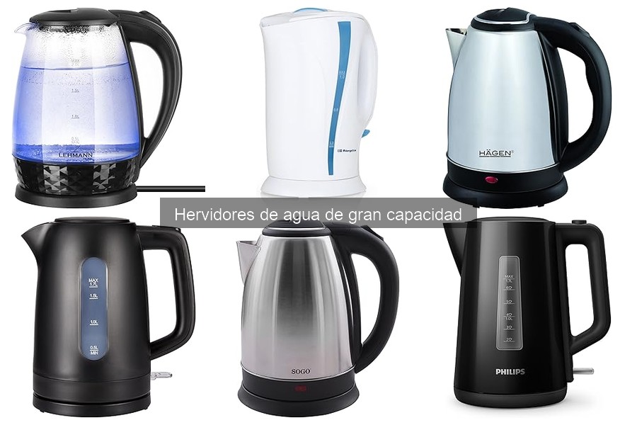 Cómo elegir el mejor hervidor de agua de gran capacidad