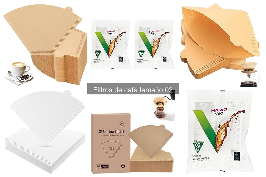 Cómo elegir los mejores filtros de café tamaño 02