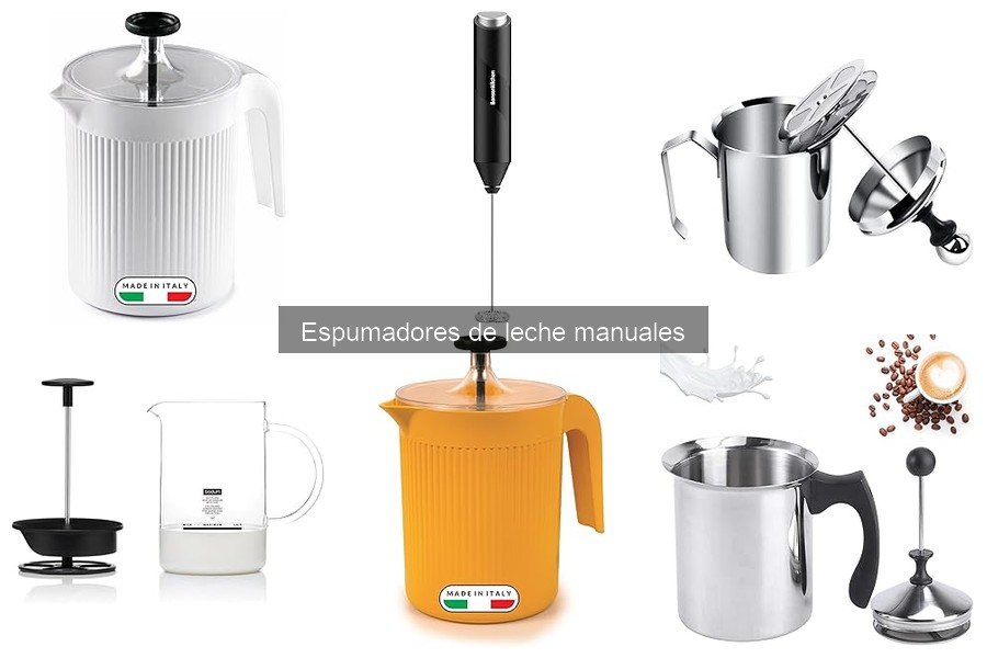 ¿Cuánto cuesta un espumador de leche manual? Precios y recomendaciones