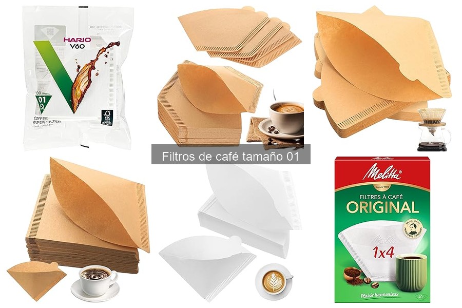 Guía para Elegir el Filtro de Café Tamaño 01 Ideal