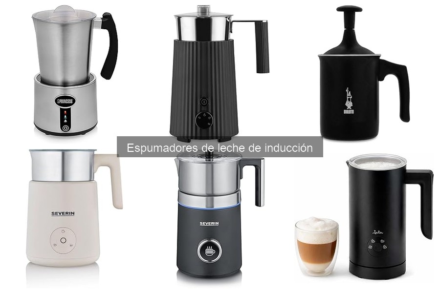 Guía para Elegir el Mejor Espumador de Leche de Inducción