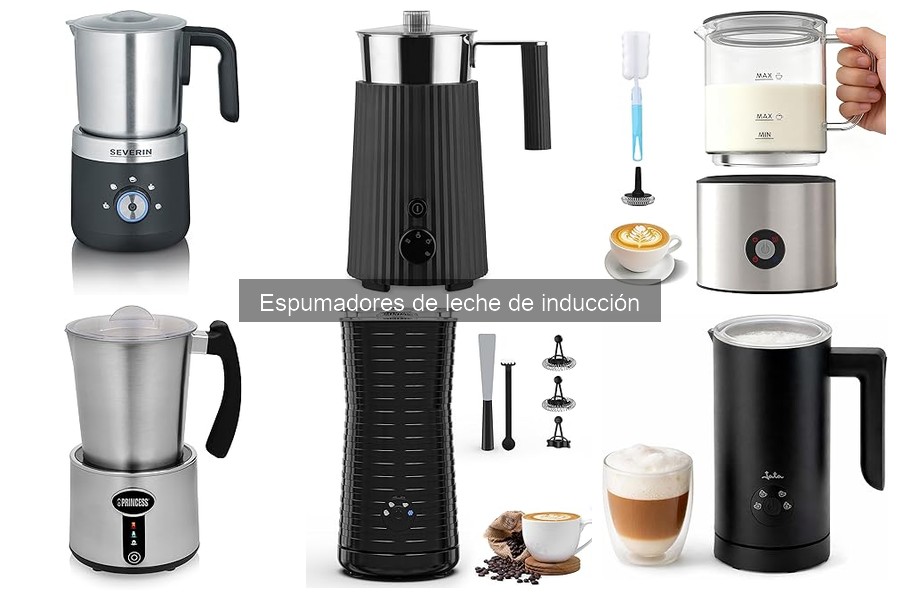 Mantenimiento y limpieza de espumadores de leche de inducción