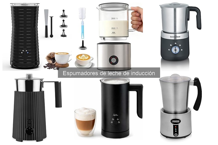 Mejores espumadores de leche de inducción para casa