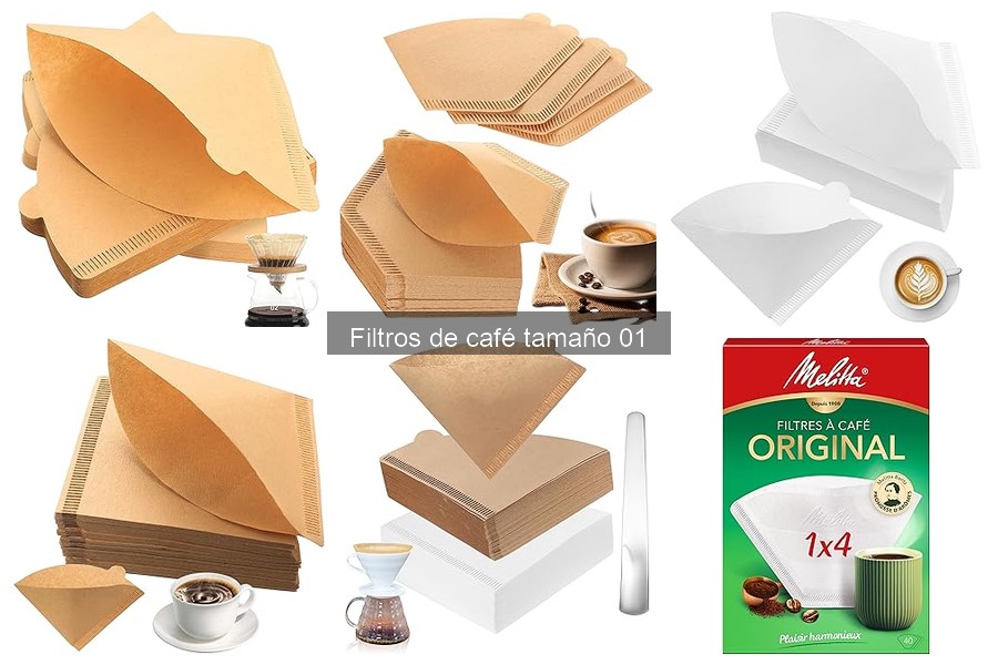 Problemas comunes al usar filtros de café tamaño 01