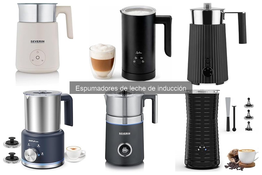 Problemas comunes con espumadores de leche de inducción