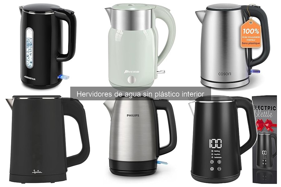 Problemas comunes de hervidores de agua sin plástico interior