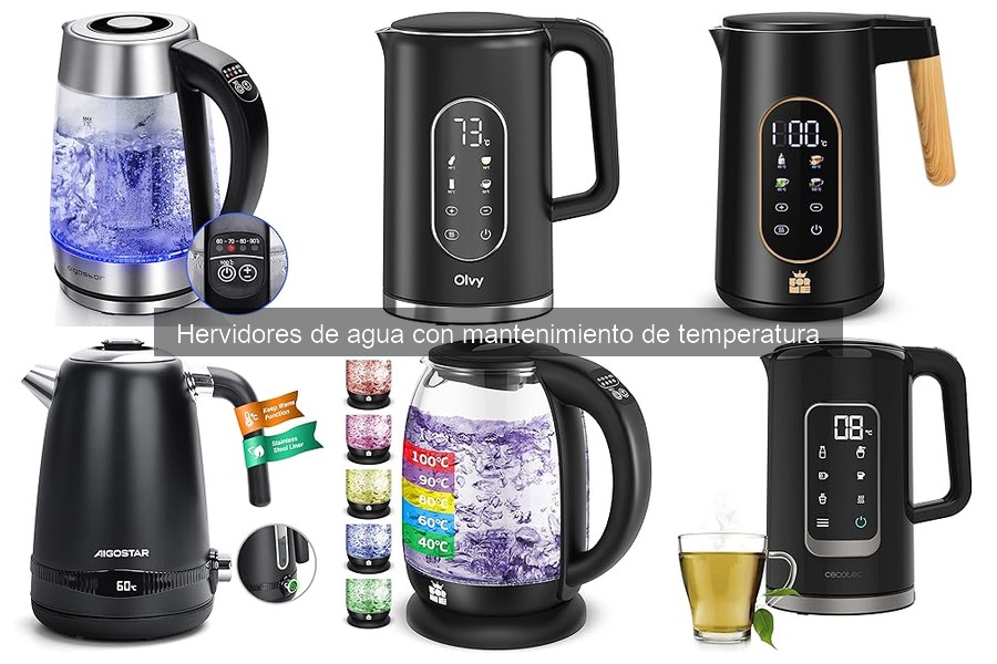¿Qué es un hervidor de agua con mantenimiento de temperatura?
