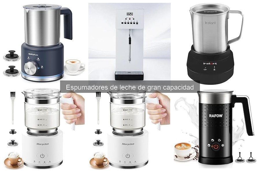 Recetas de Bebidas con Espuma de Leche para Espumadores