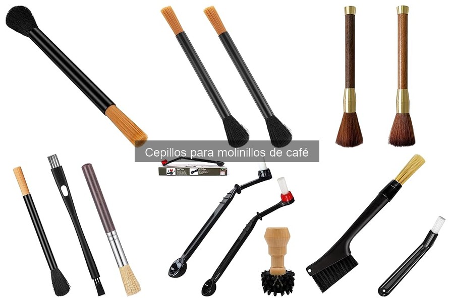 Tipos de cepillos para molinillos de café: ¿Cuál elegir?