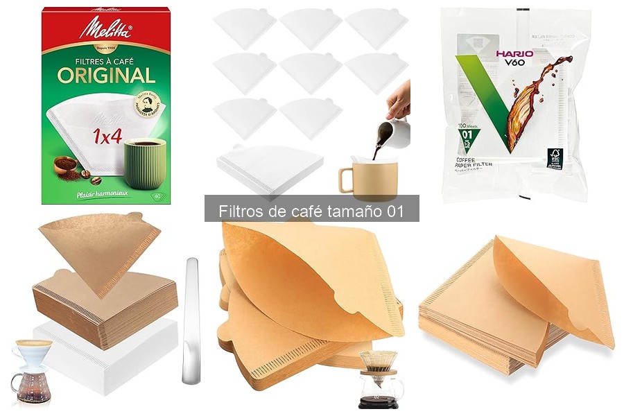 Tipos de filtros de café tamaño 01 y sus diferencias