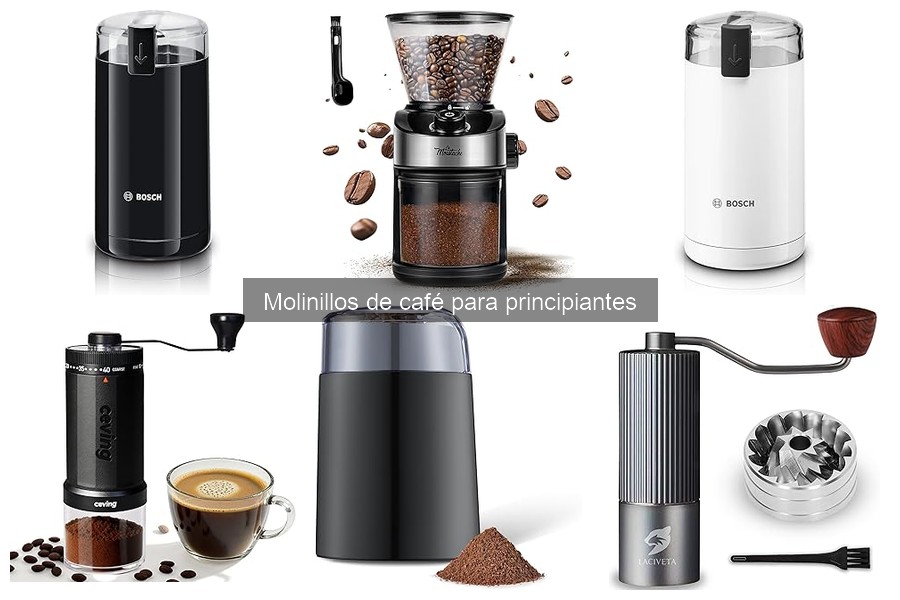 Tipos de molinillos de café para principiantes: ¿cuál elegir?