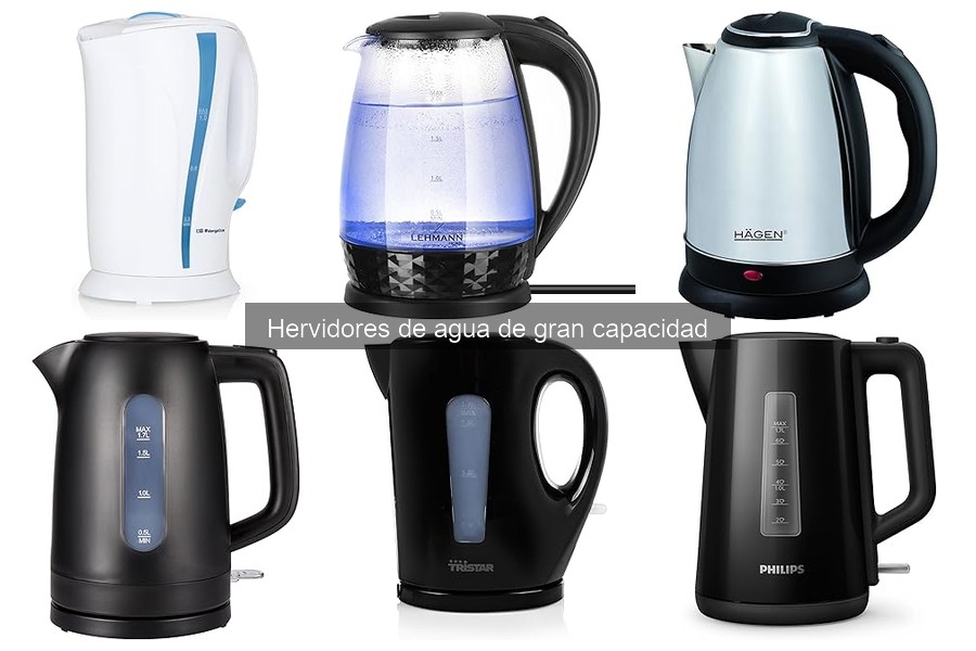 Ventajas y Desventajas de Hervidores de Agua de Gran Capacidad
