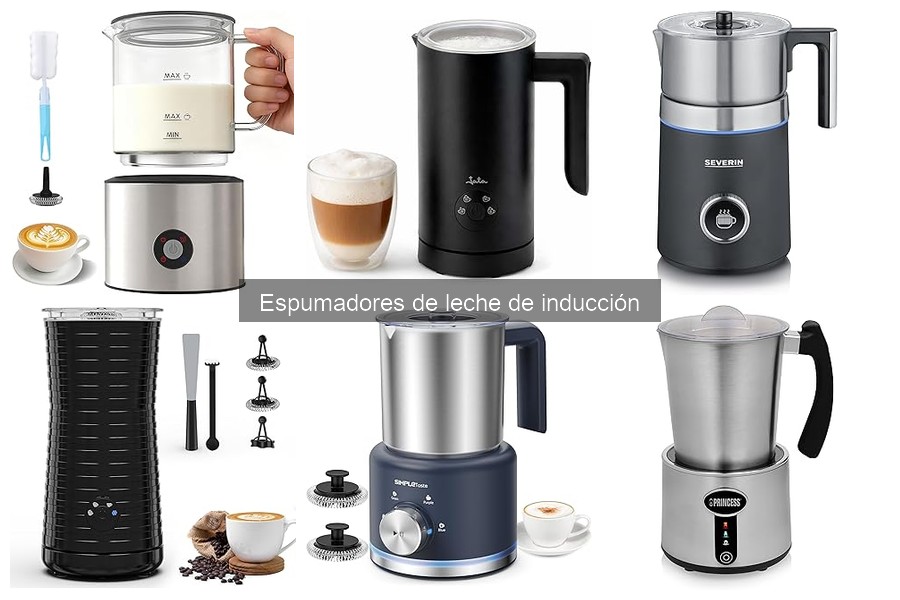 Ventajas y desventajas de los espumadores de leche de inducción